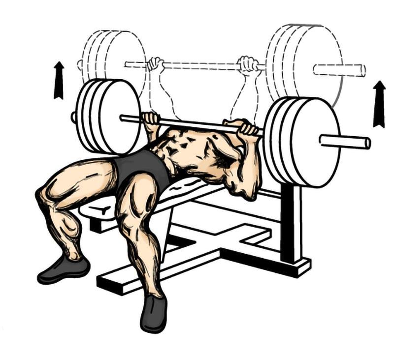 Exercise Tips on benching your own body weight! 